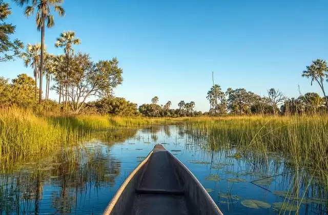 Mokoro en el Okavango