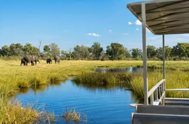 Llanuras de Savuti