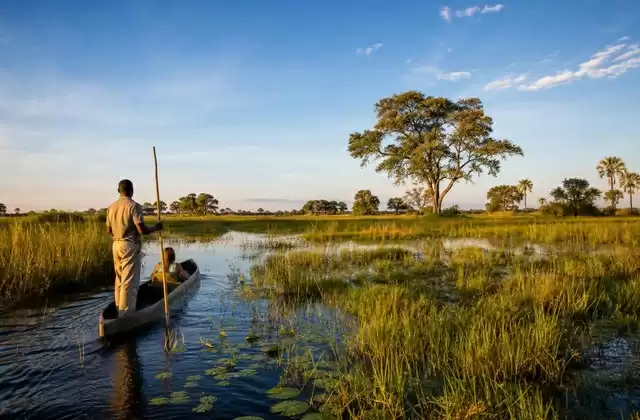 Delta del Okavango