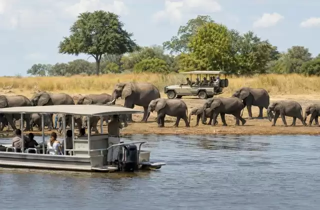 Parque Nacional de Chobe