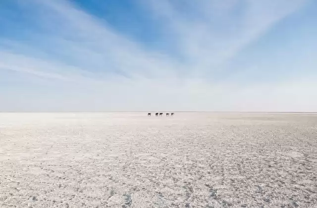 Salares de Makgadikgadi