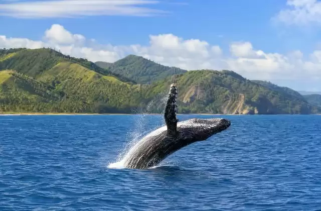 Bahía de Samaná